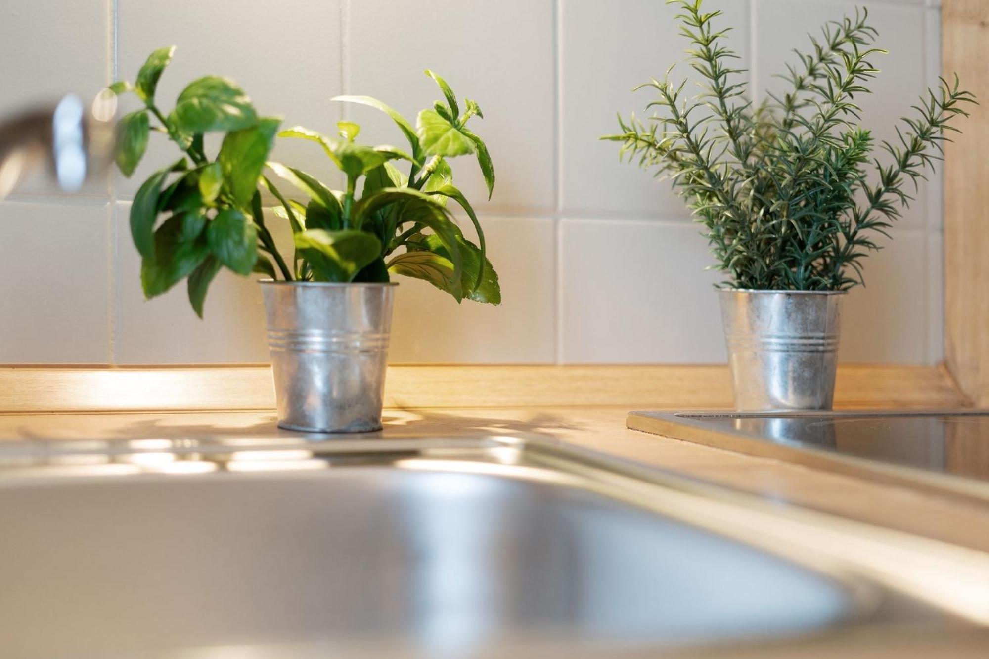Mittelweg 6 Wohnung 4 Grömitz Esterno foto